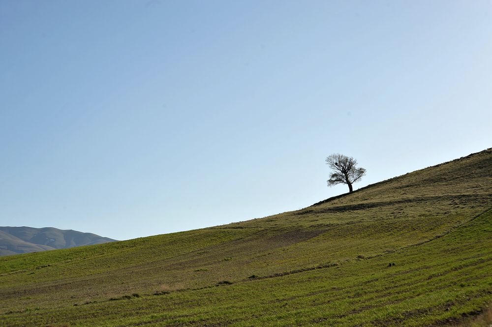 Photograph by Farid Ataei
