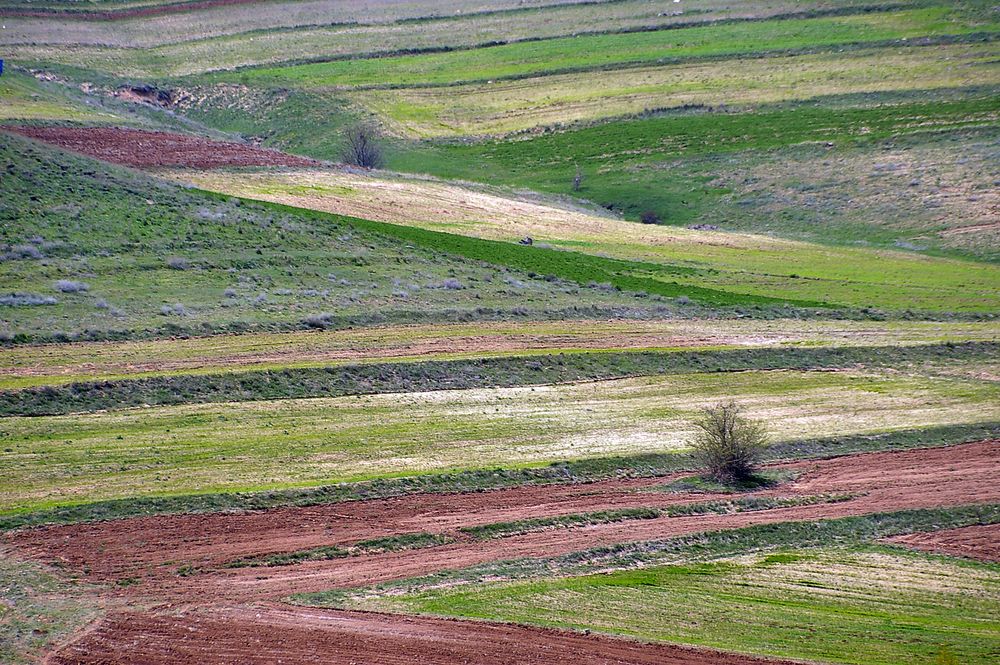 Photograph by Farid Ataei