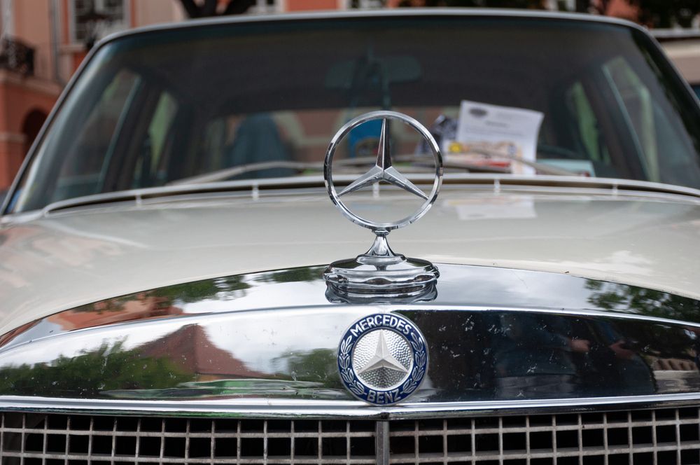 Photograph by Dragan Leles