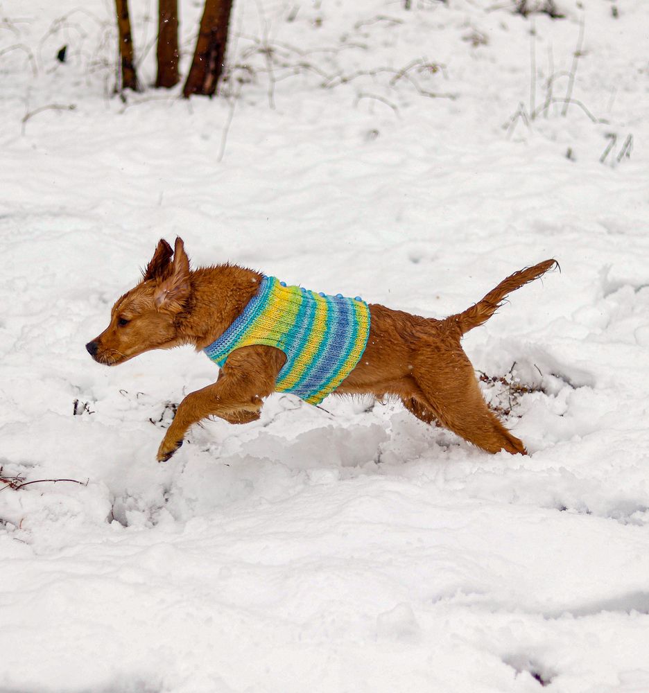 Photograph by Mehrad Mallaei