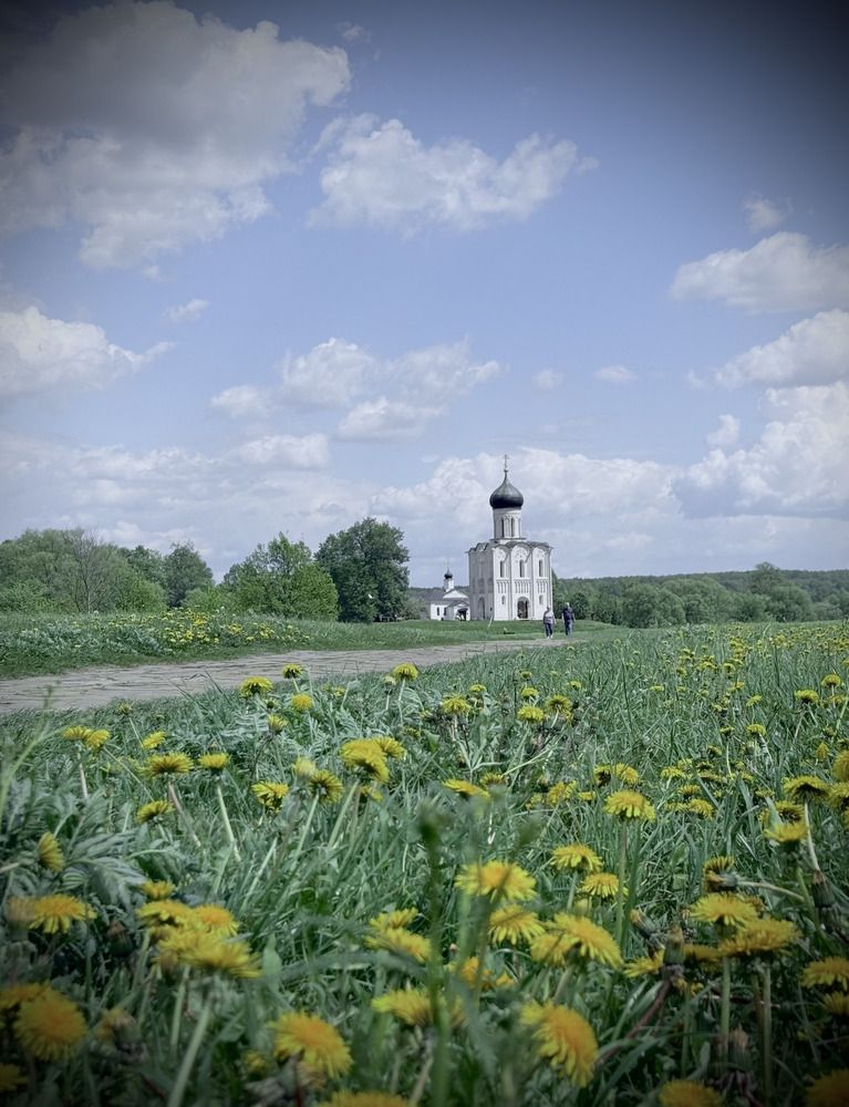 Фотография автора Светлана