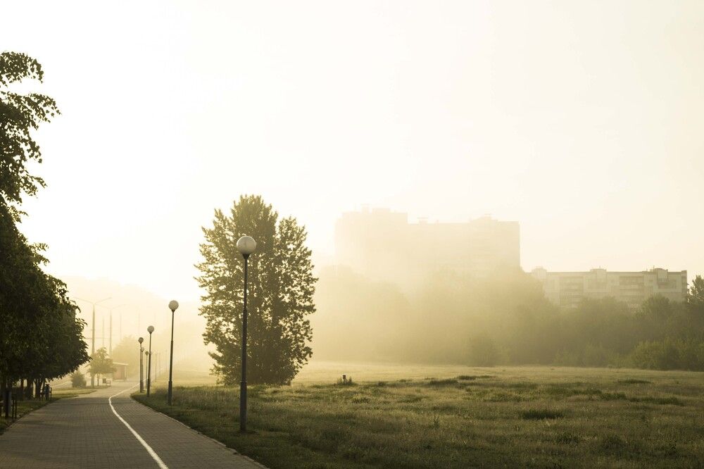 Photograph by 