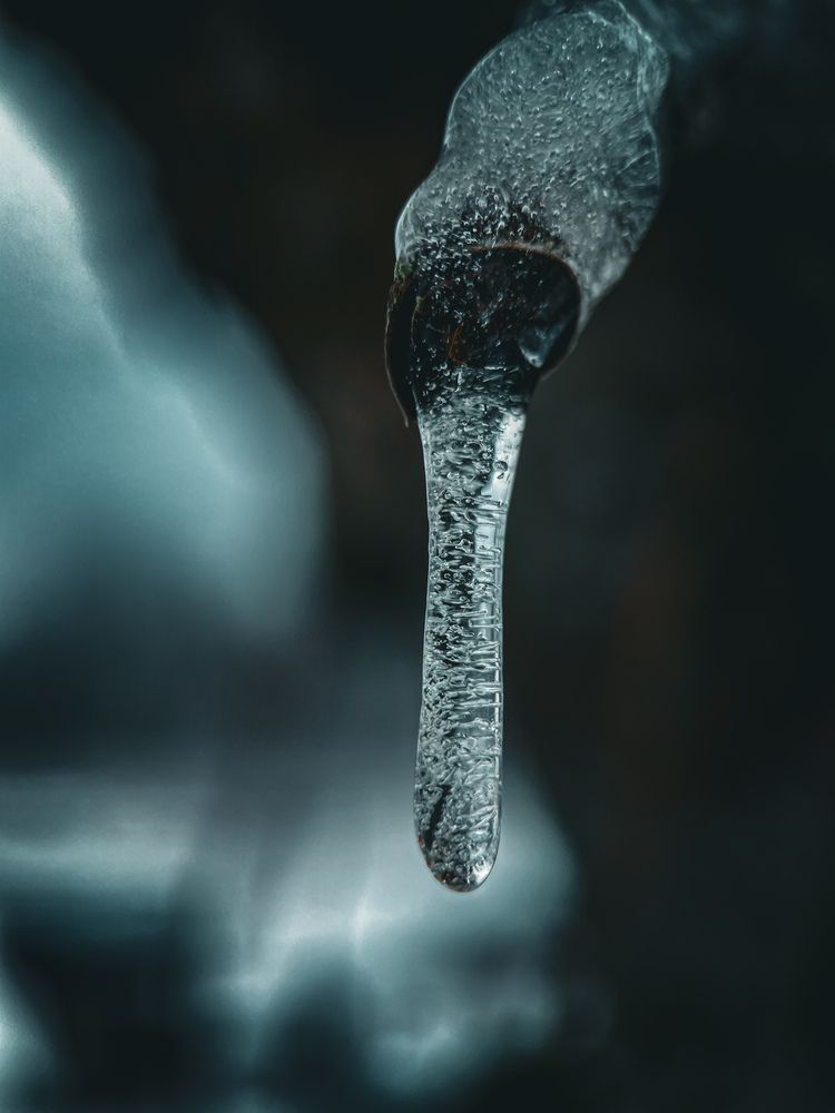 Photograph by Евгения Березина