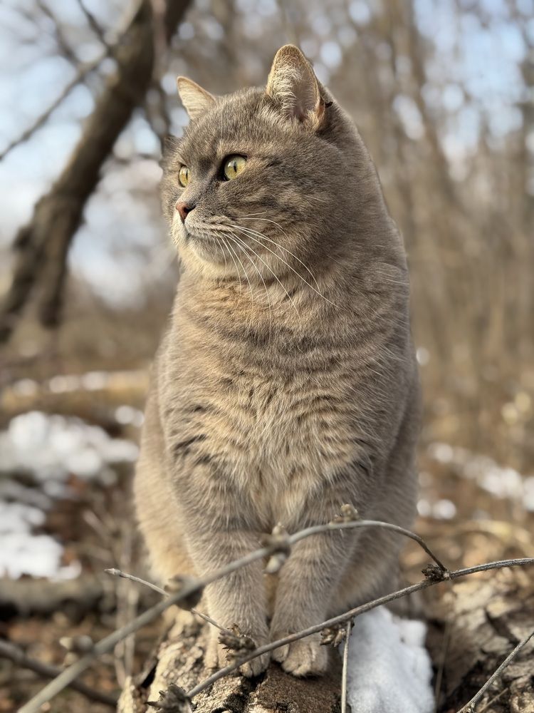 Photograph by Светлана Димитриенко