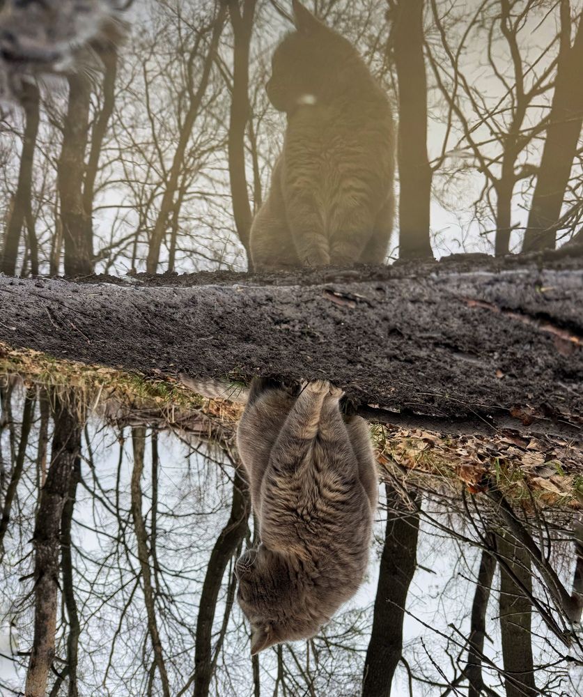 Photograph by Светлана Димитриенко