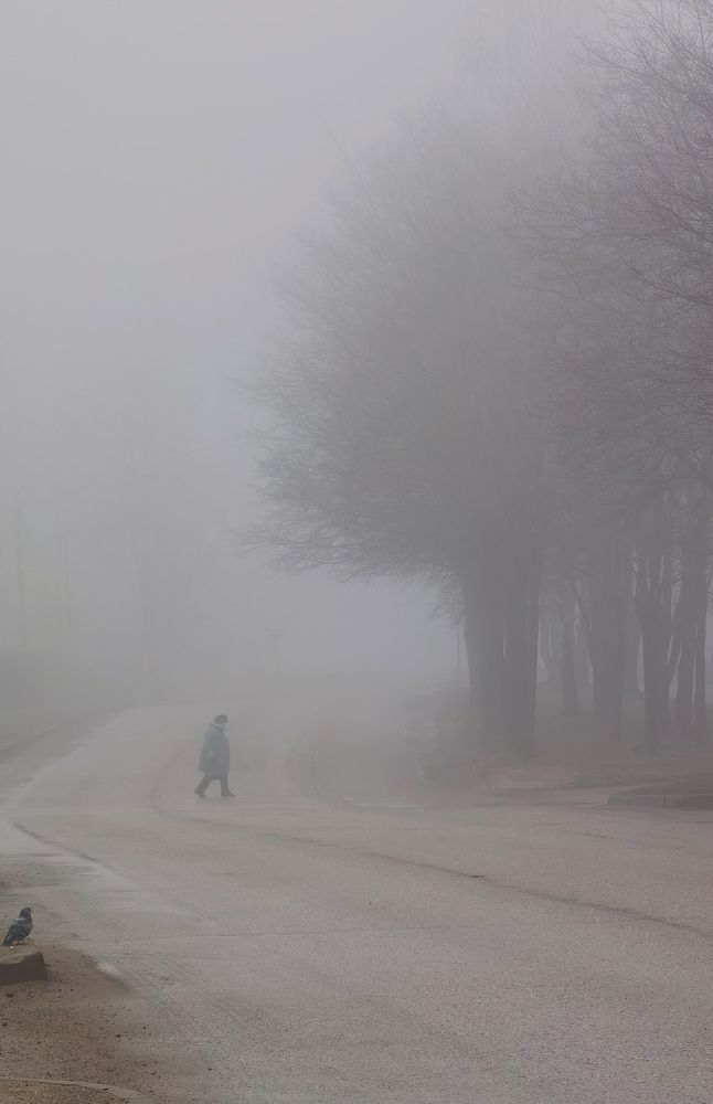 Photograph by Екатерина