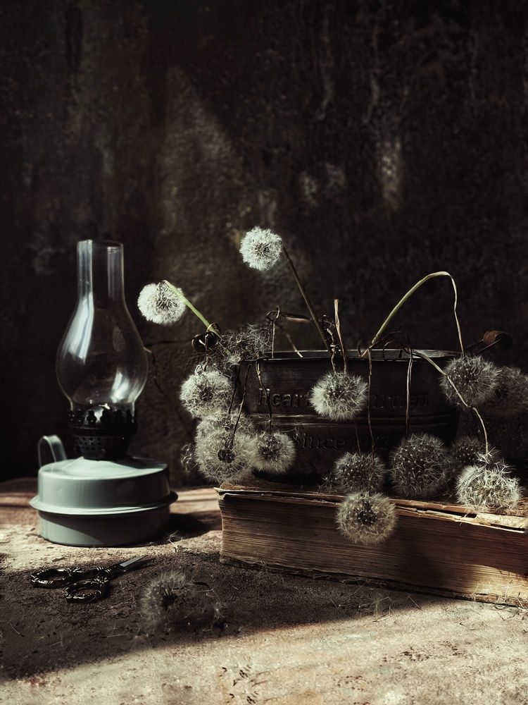 Photograph by Олеся Хижко