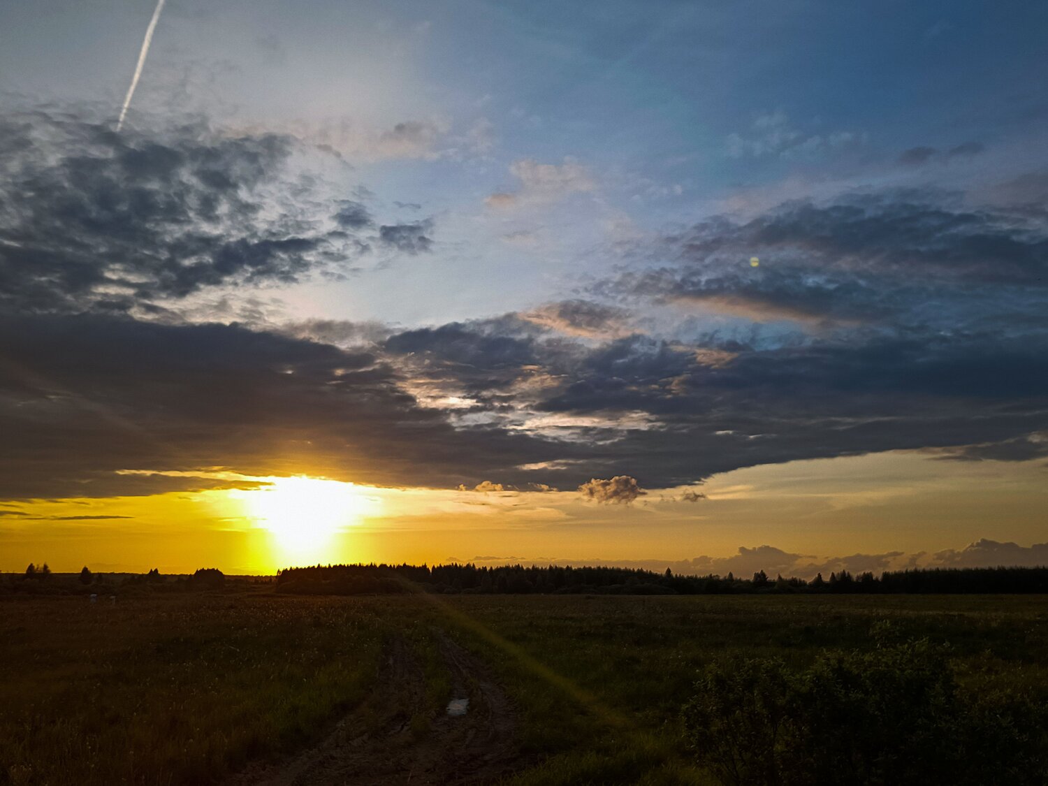 Photo #12255876