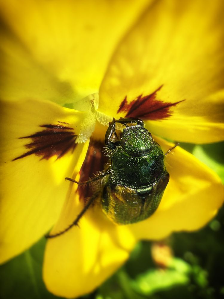 Photograph by Елена Чулюнина