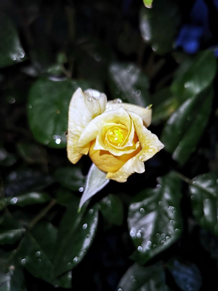 Photograph by Nikolett Mengyi