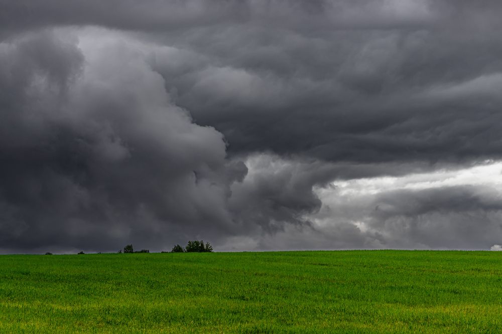 Перед грозой