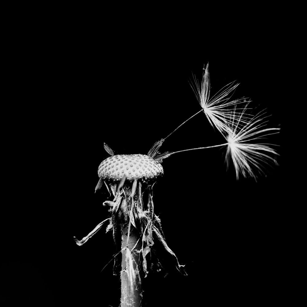 Photograph by Юрий Полушин