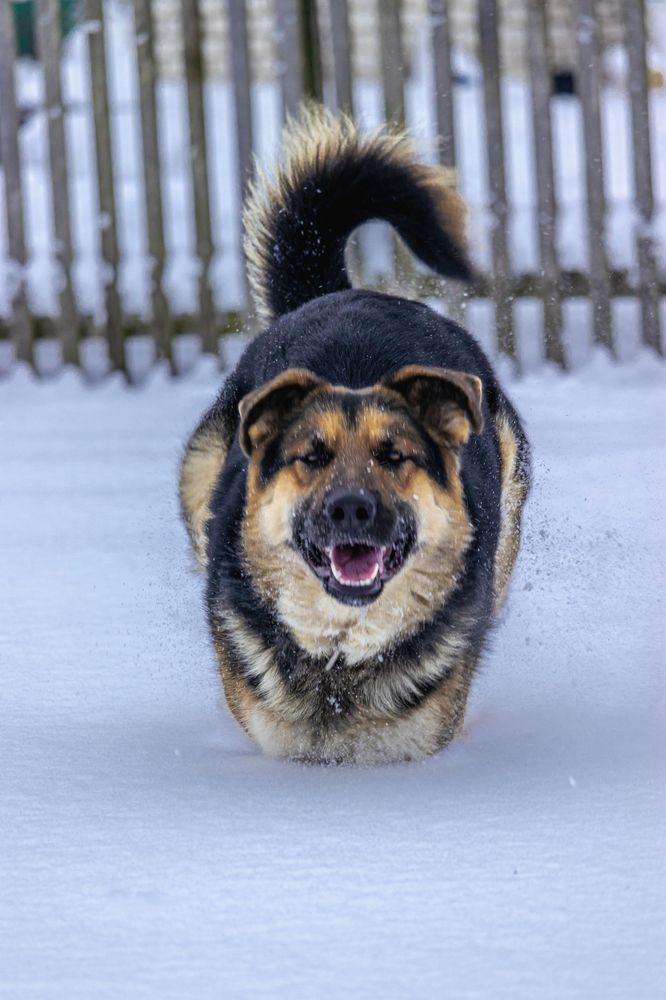 Photograph by Сергей Зайцев