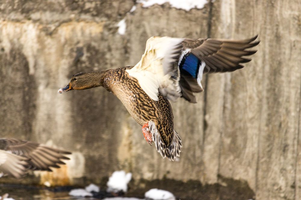 Photograph by Сергей Зайцев