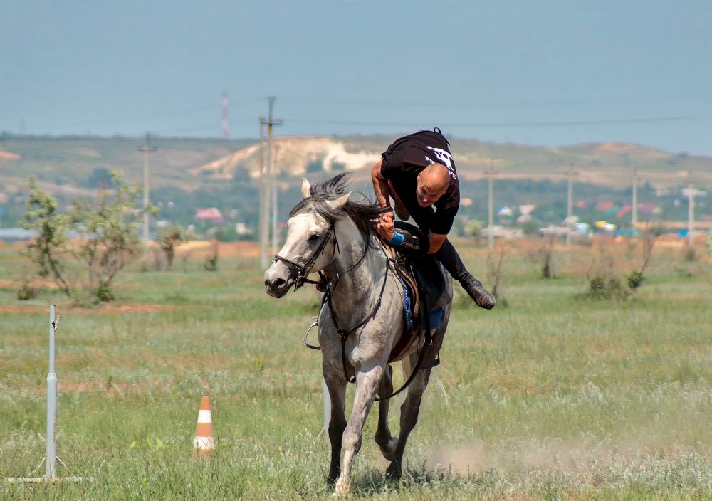 Photograph by Ирина Шибитова