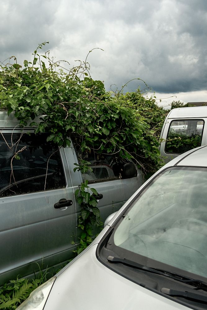 Photograph by Ivan Vetoshkin