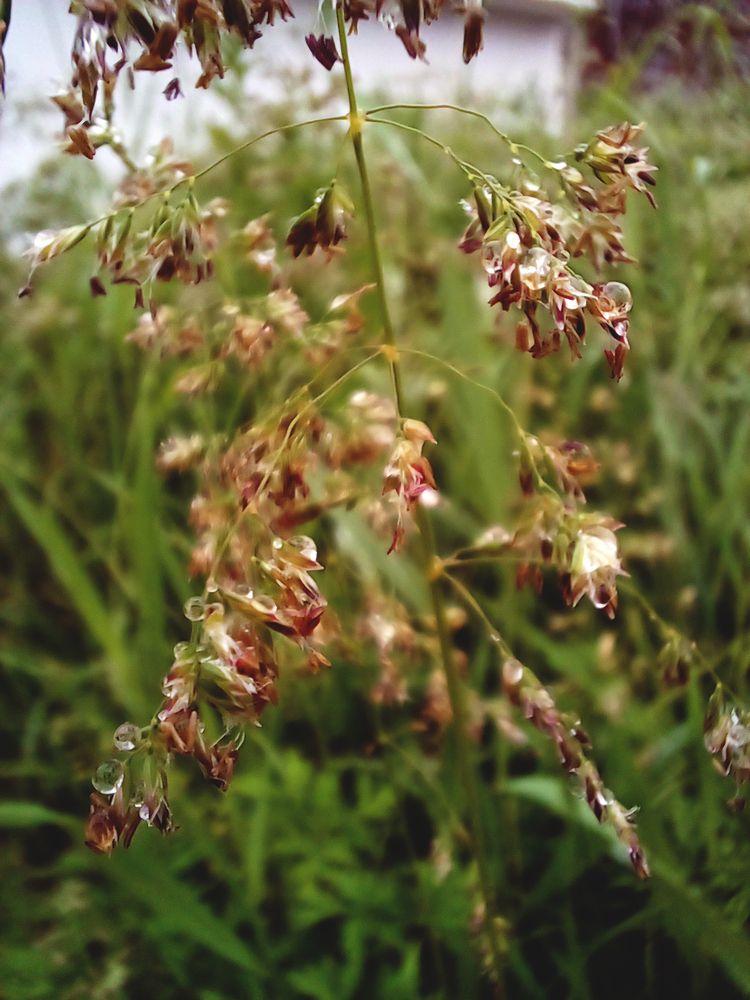 Photograph by Екатерина Дёмина