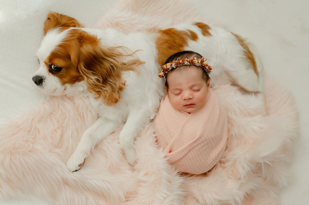 Photograph by Dione Lopes