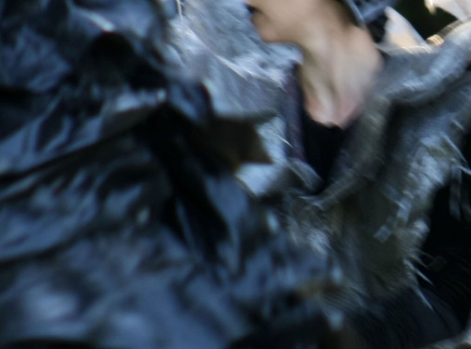 Photo #12256420