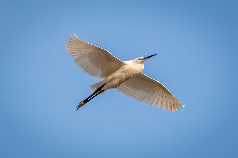 Photograph by Ayman Fawzy