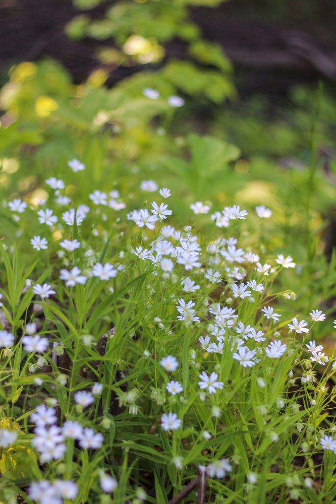 Photograph by Ольга Васина
