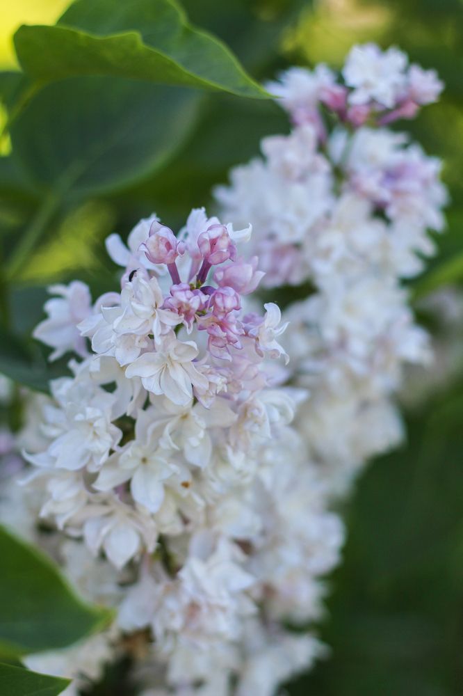 Photograph by Ольга Васина