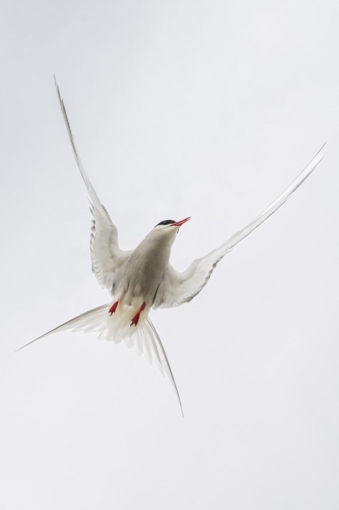 Photograph by Ertugrul ALTYNTASH