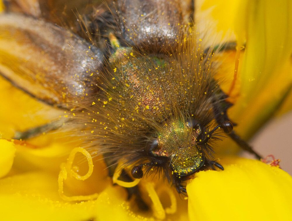 Фотография автора DIMITRIS MPAZIOTOPOULOS