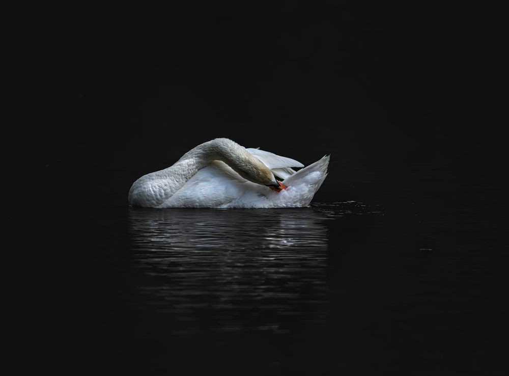 Photograph by Мария Ирешева