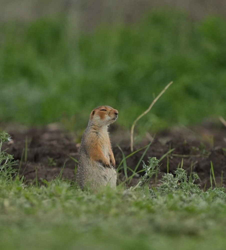 Photograph by Альбина Мусина