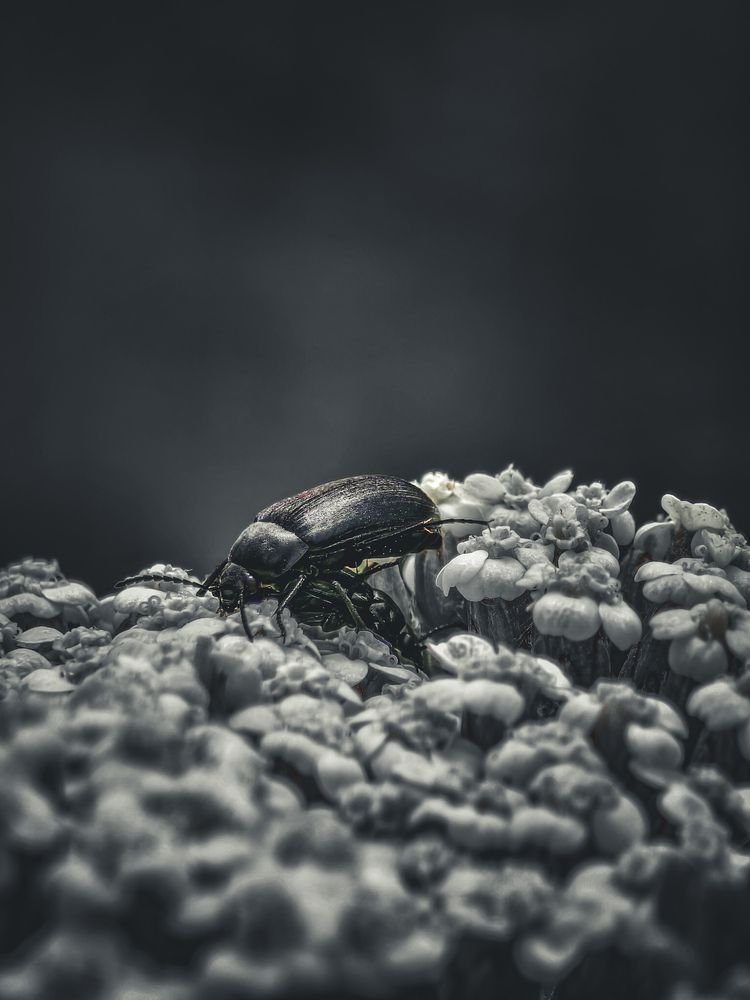 Photograph by Былков Евгений