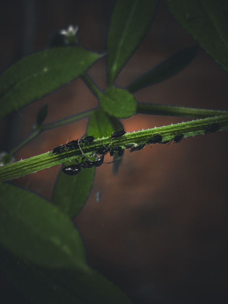 Фотография автора Евгений Былков