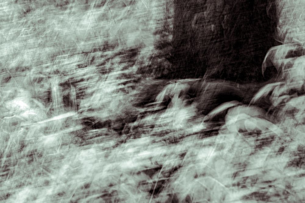 Photograph by Сергей Аникушин