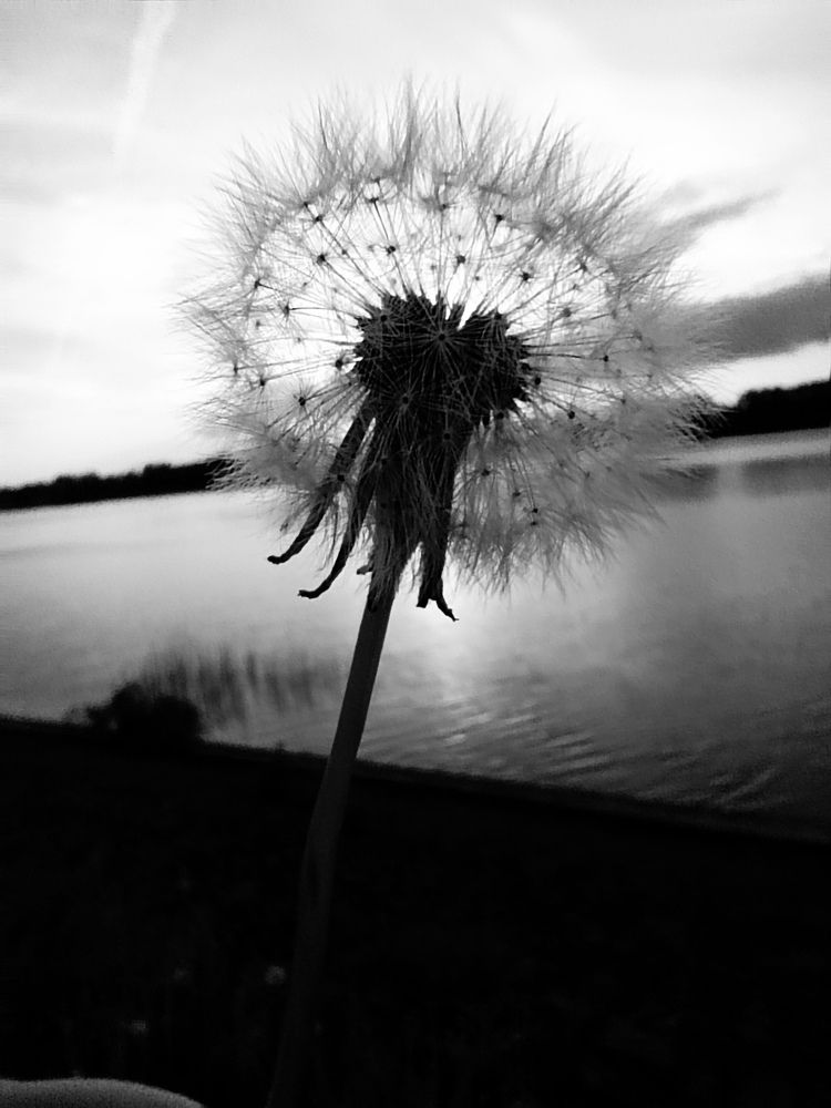 Photograph by Юлия Локалова