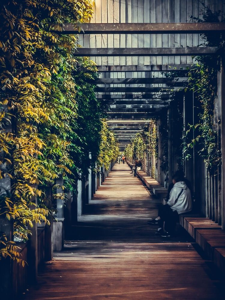 Photograph by Phantom
