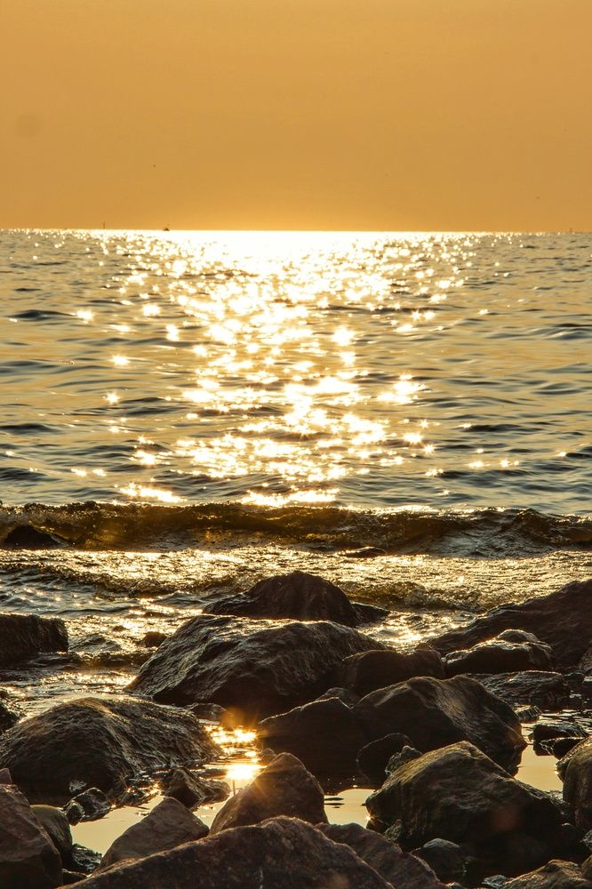 Фотография автора Алёна Михайлова