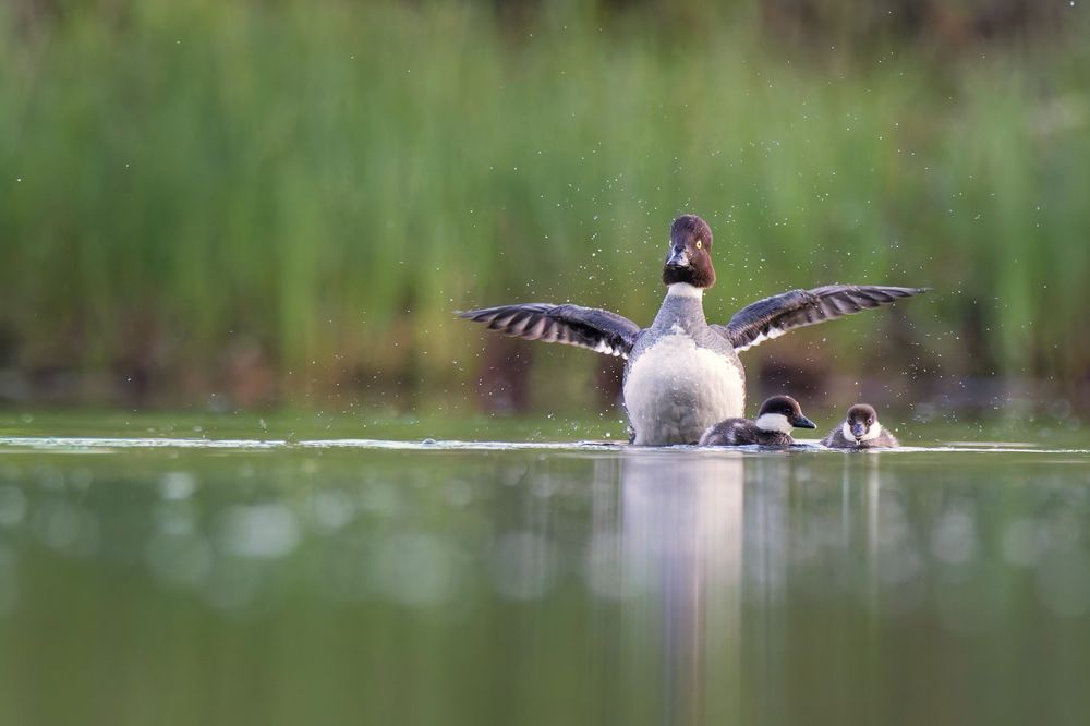 Photograph by Jørgen Hovde