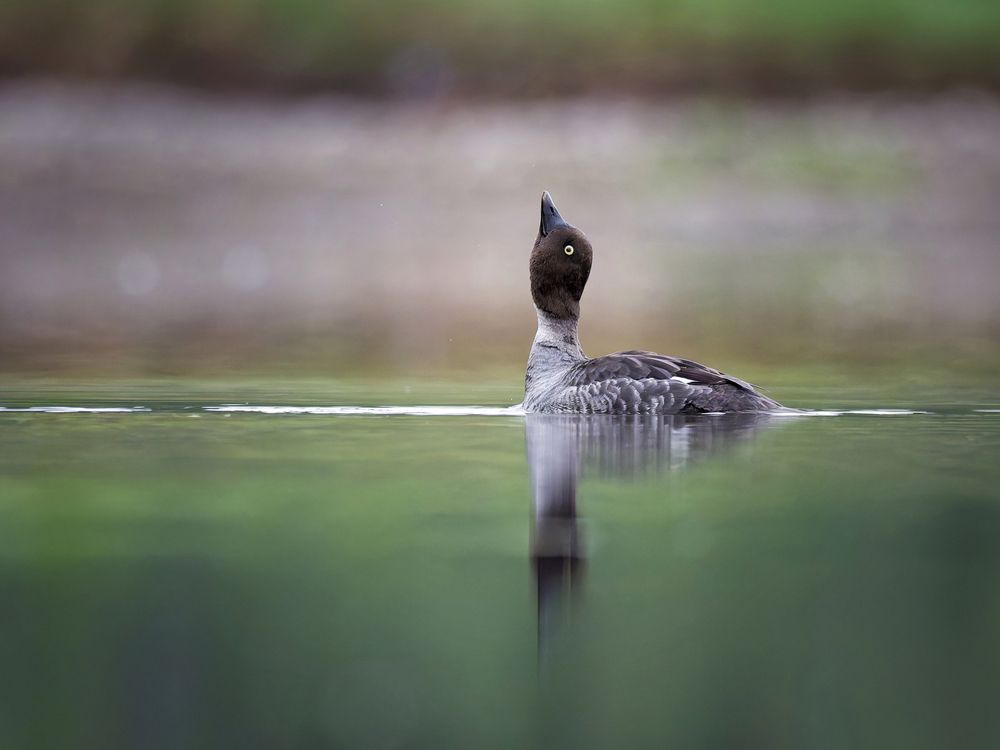Photograph by Jørgen Hovde