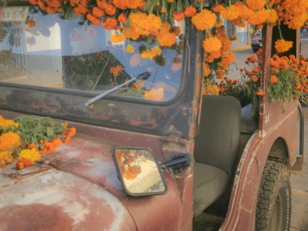 Photograph by Jereissati Demetrio