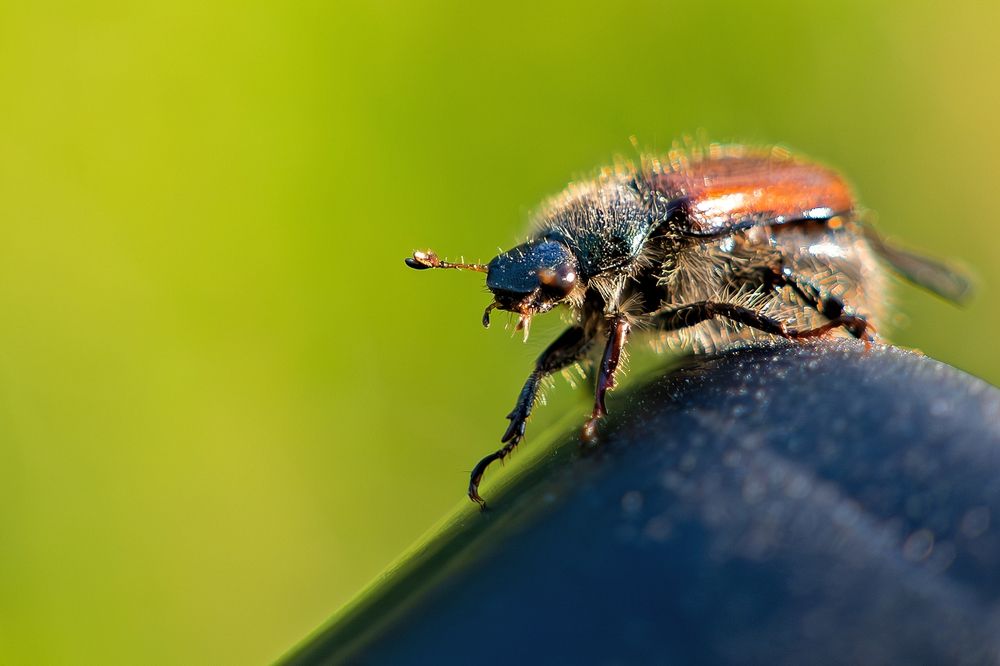 Photograph by Михаил Косолапов