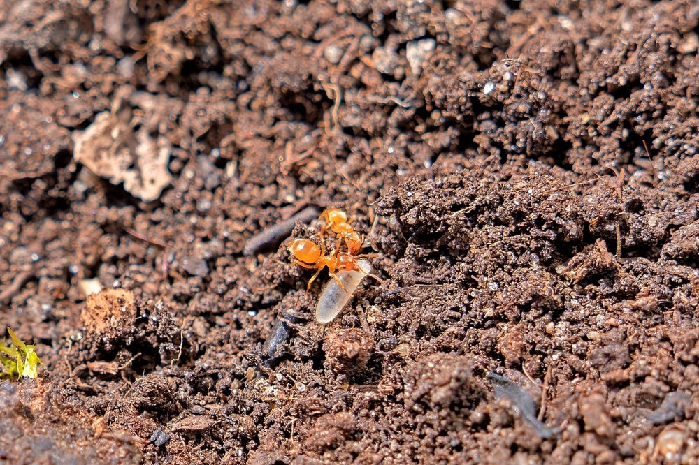 Photograph by Михаил Косолапов