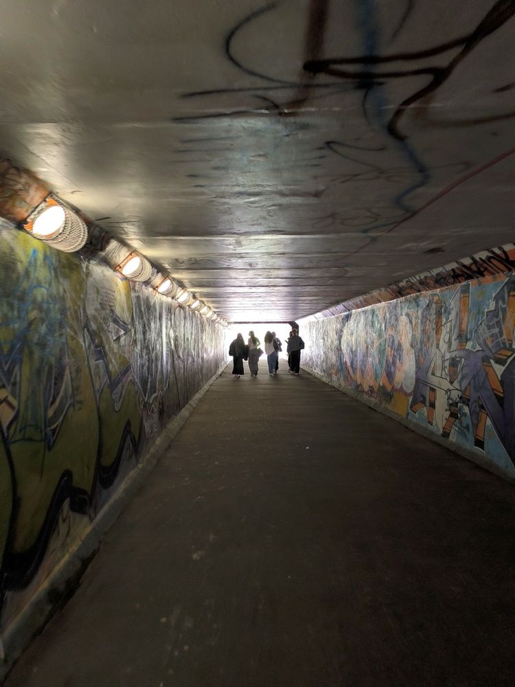 Photo #12257521