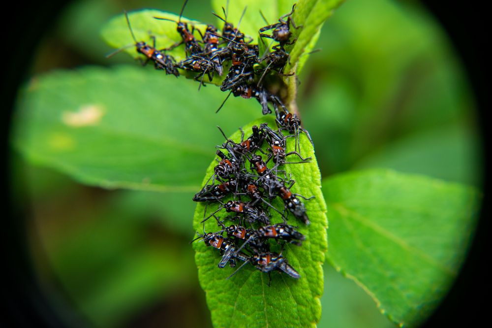 Фотография автора Jose Marcos Carvajal Tarazona