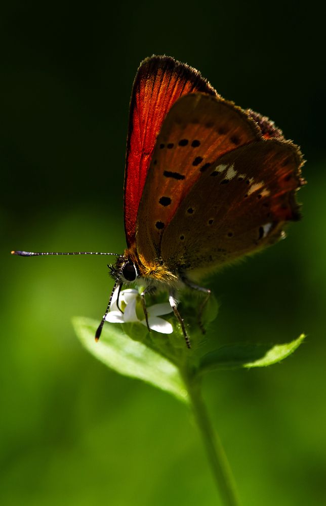 Photograph by Алексей Мартынов