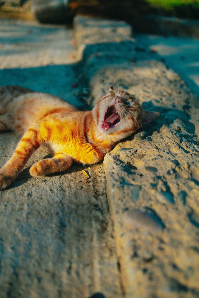 Photograph by MARINA NIKOLAEVA
