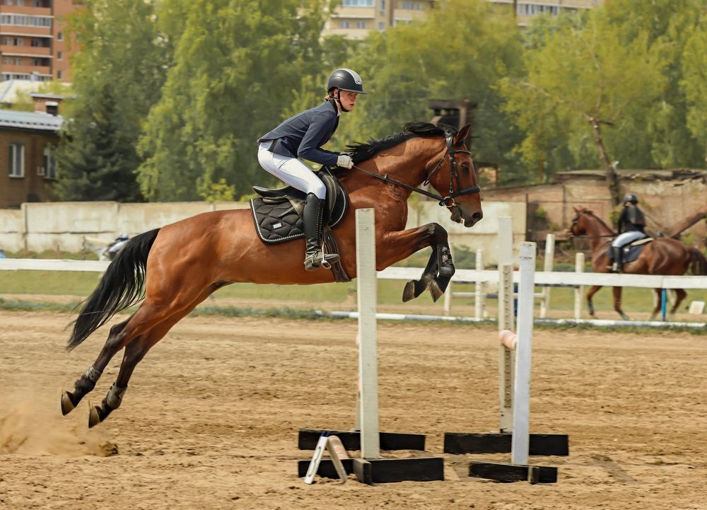 Photograph by Лапин Сергей