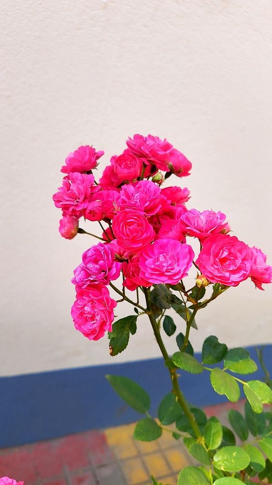 Photo #12258004