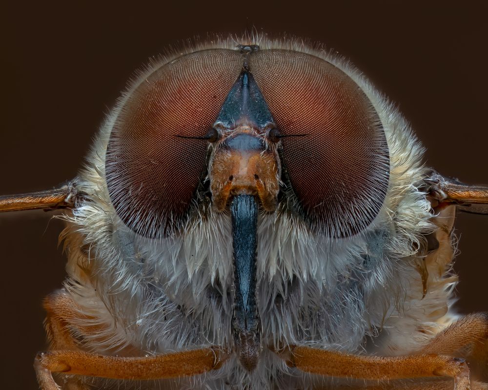 Фотография автора Craig Loechel