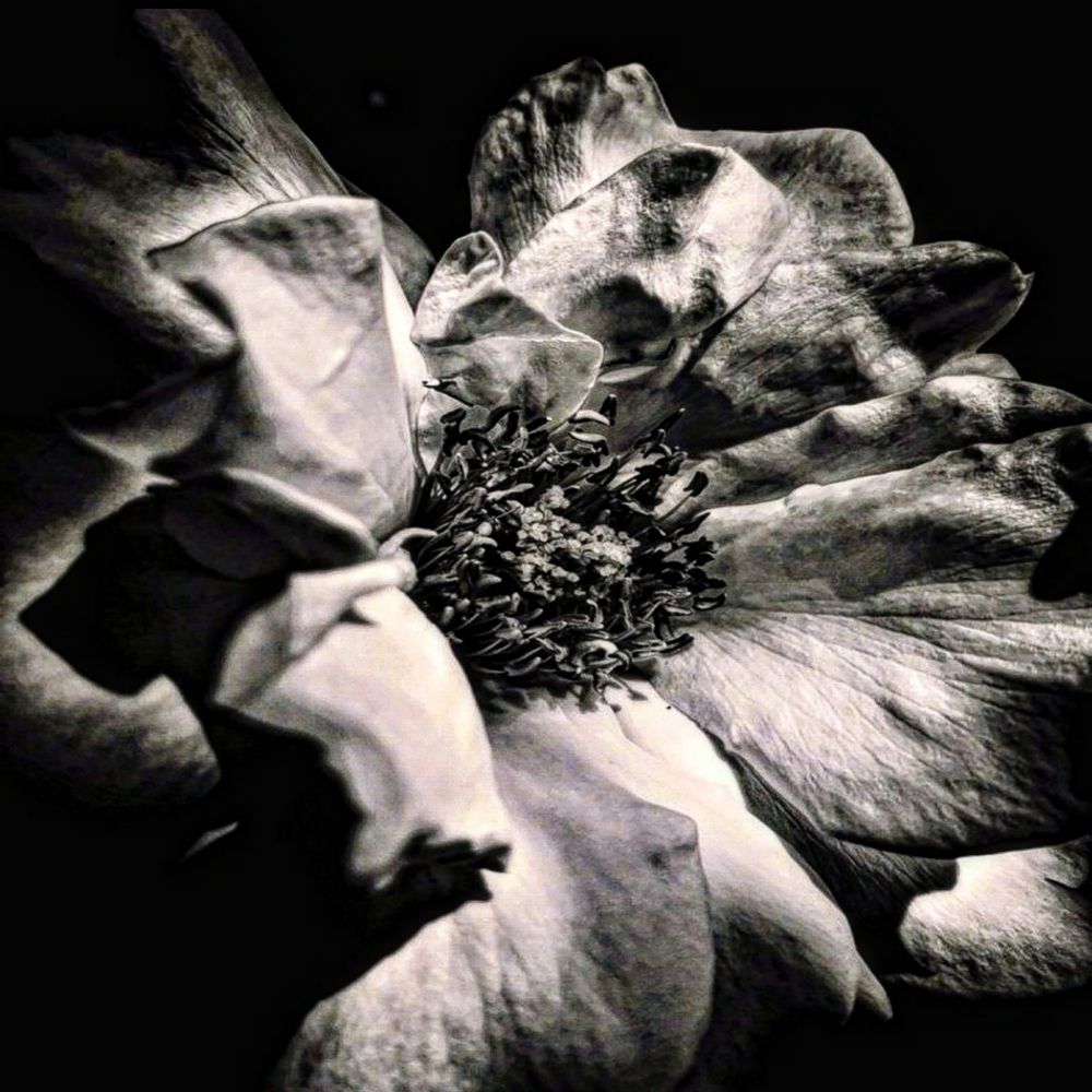 Photograph by Nikolett Mengyi