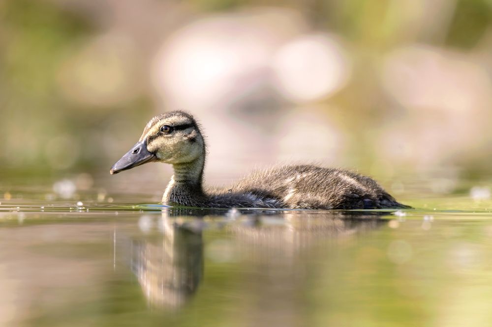 Photograph by Бурыкин Илья